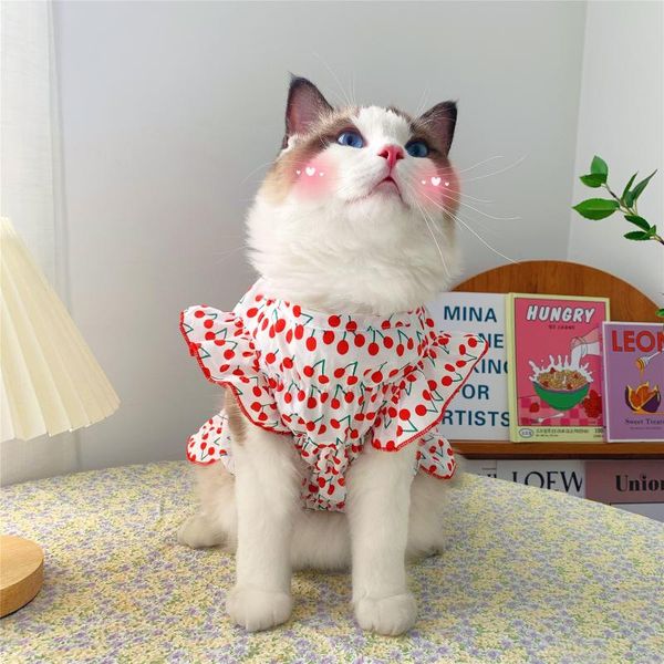 

cat costumes clothes girl small dog skirt pet clothing summer spring dress