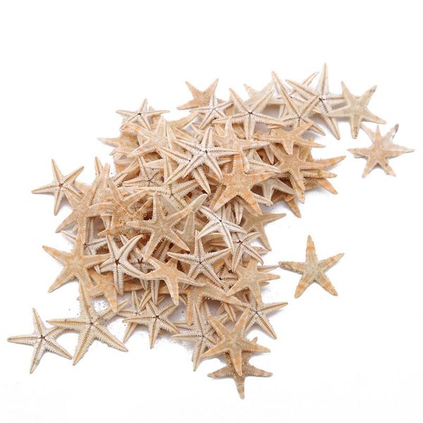 

novelty items 100pcs natural starfish seashell beach craft sea stars diy wedding decoration crafts home decor epoxy 1-3cm
