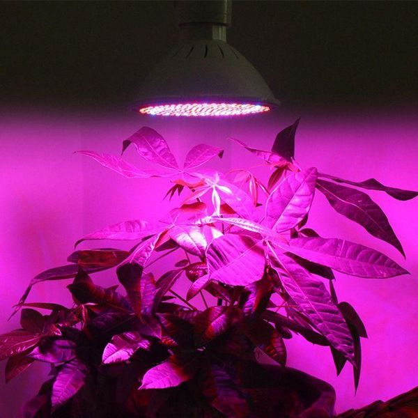 

led grow light full spectrum e27 succulent fill light flower nursery plant growth 6w 10w 15w 20w drop shipping
