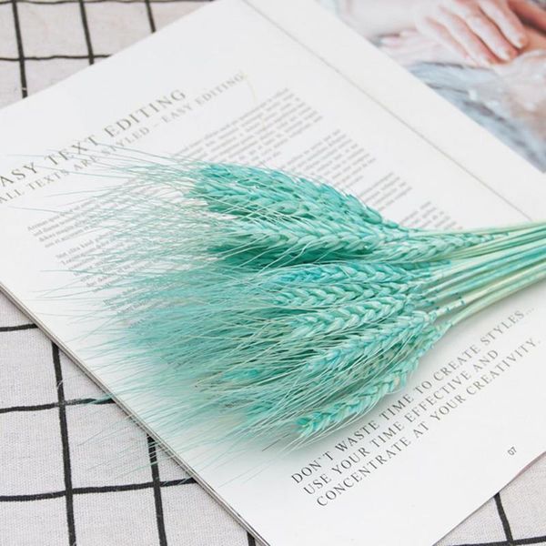 

decorative flowers & wreaths 25pcs/set great dried flower no water need oat grass vivid exquisite workmanship natural pampas