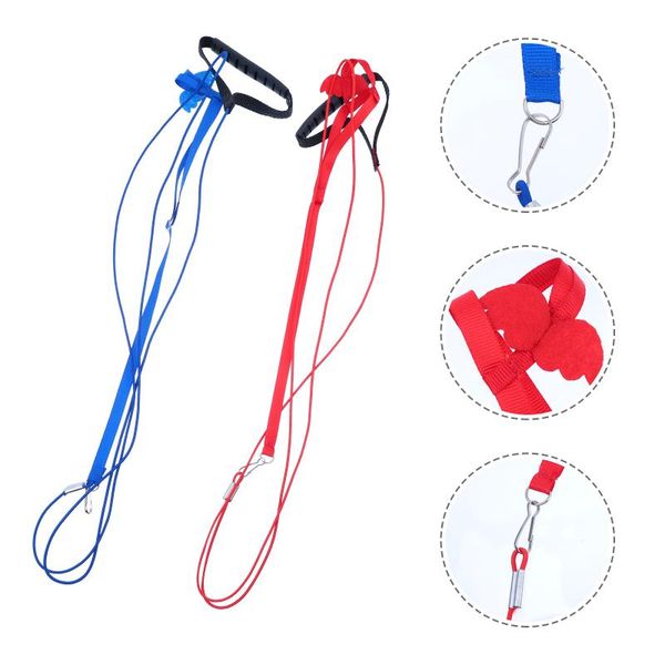 

other bird supplies 2pcs pet parrot harness leash adjustable flying (red, blue)