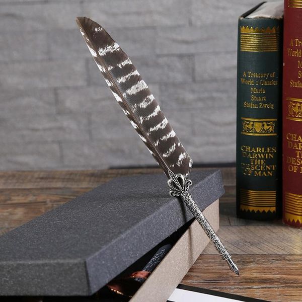 

luxury vintage feather quill dip calligraphy fountain pen writing ink 5 nibs set 53cc