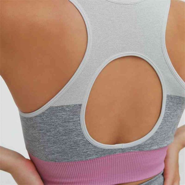 

new knitted seamless sports underwear contrast stitching sports shockproof bra female, Black;white