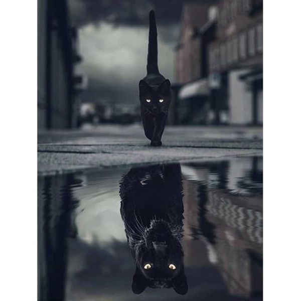 

diamond painting black cat panther animal reflection diy cross stitch mosaic 5d full drill embroidery scenic wall decor