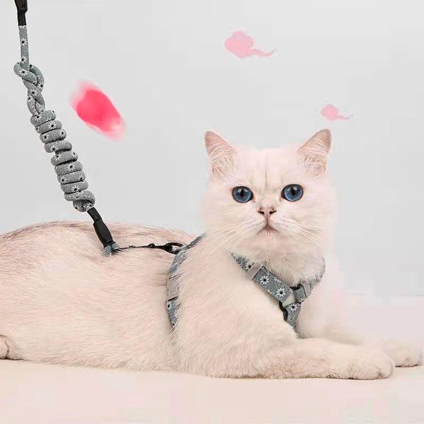 

cat collars & leads collar harness leash traction rope chest strap pet safe gentle leader adjustable floral belt