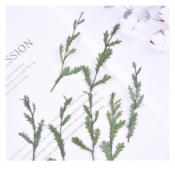 

8-12cm/24pcs,natural pressed eternal flowers stem,real plant diy wedding invitations craft bookmark scented candles decoration qyloop