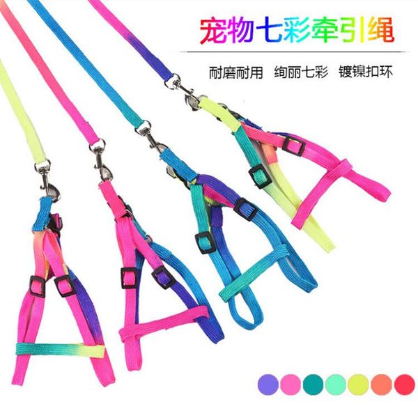 

dog collars & leashes pet supplies special offer colorful hand holding rope leash traction chest and back
