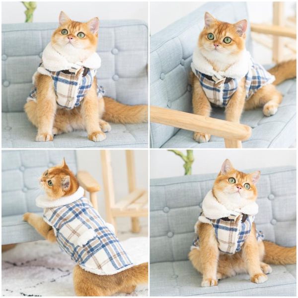 

cat costumes pet dog clothes puppy kitten cute hoodies soft apparel clothing