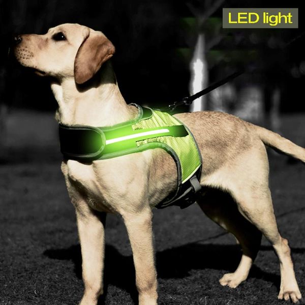 Colarinhos de cachorro Luzes Led Luminous Light Up Peito Strap Colete Pet Segurança Reflexivo Collar para Husky Shepherd Labrador