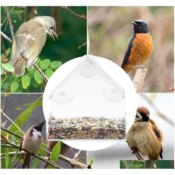 

new acrylic clear house window bird feeder birdhouse bird jllvdt sinabag