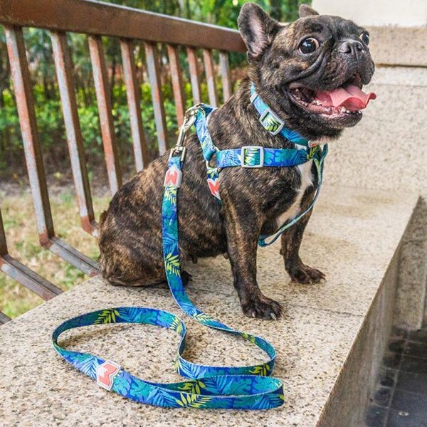 

dog chest strap is suitable for small and medium sized dogs with a three-piece chest strap