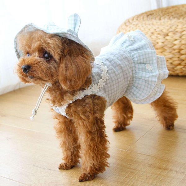 

rabbit ear hat kindergarten dog pet cat than teddy bear clothing spring thin skirt