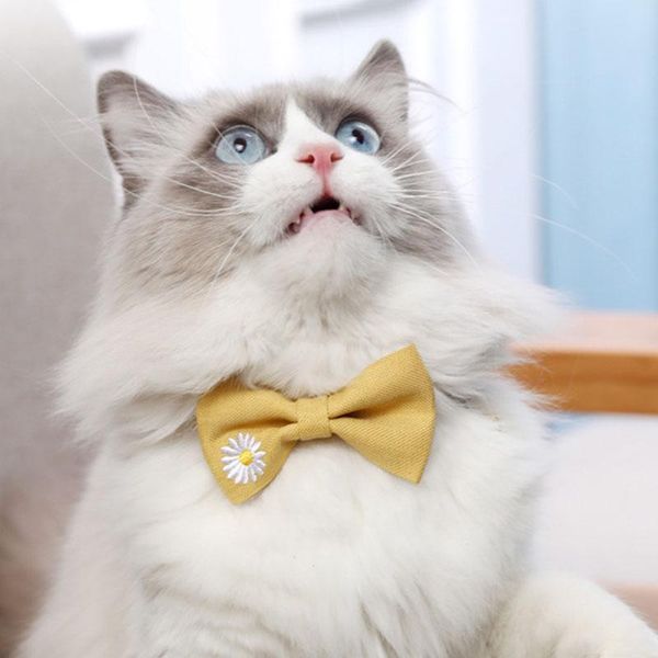 

cat collars & leads pet collar plain color bow tie cotton embroidered flower bell breakaway harness supplies wholesale