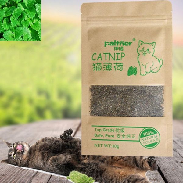 

cat toys mint natural organic premium catnip 10g flavor treats funny toy for gatos