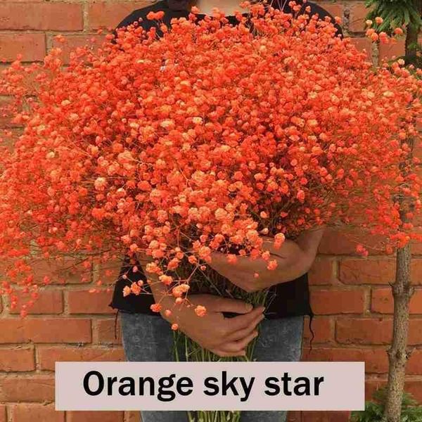 

gypsophila bouquet colorful fresh starry immortal flower natural dried preserved flowers diy home wedding party decoration plant