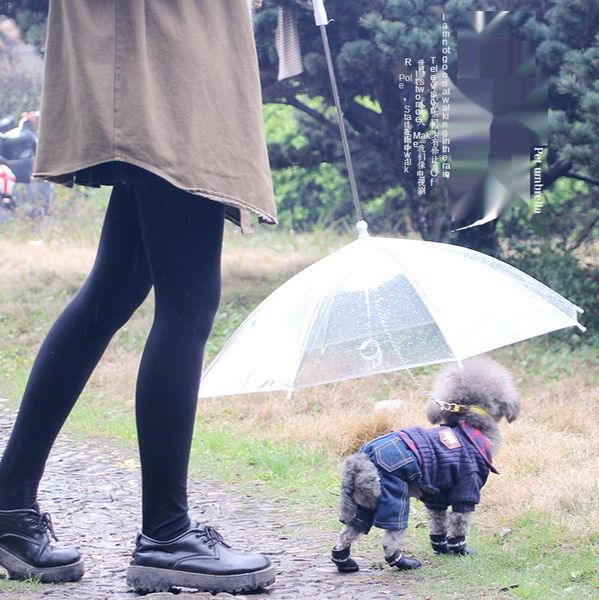 

dog apparel pet transparent teddy poodle small pulls umbrella walk travel waterproof poncho raincoat