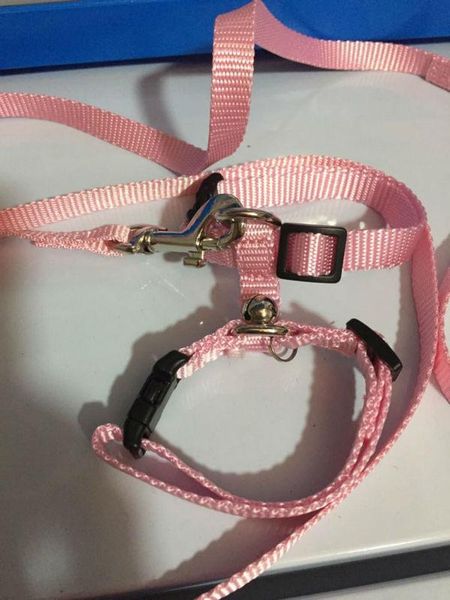 

other bird supplies adjustable hedgehog harness for training playing traction rope color blue/ pink choose