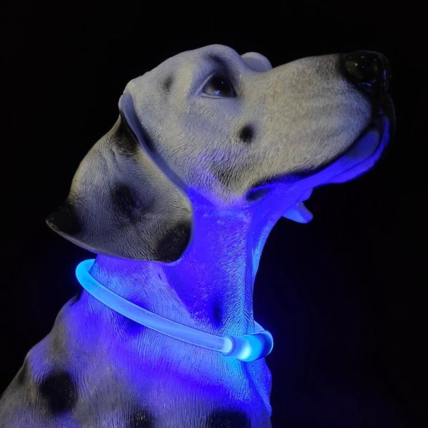 

cat collars & leads led dog collar s in 2021 usb rechargeable