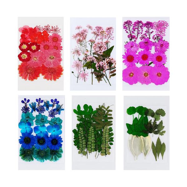 

bulk pressed dried flower leaves for diy scrapbooking blue 21pcs