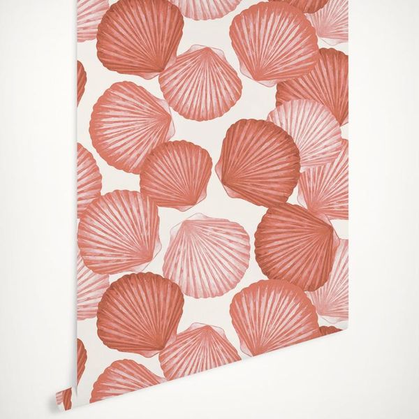 

wallpapers coral seashells wallpaper