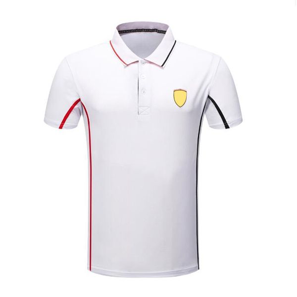 

2021 new f1 formula one racing t-shirt polo sweatshirt quick-drying polyester lapel large size, the same style can be customized