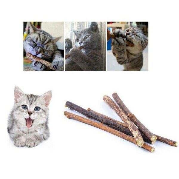 

cat toys cats cleaning teeth catnip pet molar toothpaste silvervine stick aug889