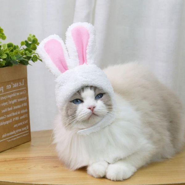 

cat costumes hat lightcolor soft adjustable headwear cashmere cute costume with ears