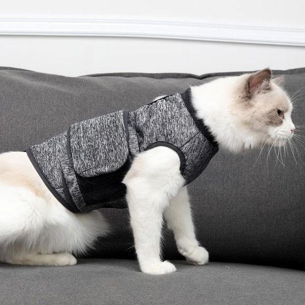 

small puppy cat dog harness vest mesh pet harness adjustable for small medium dogs cats chihuahua jacket