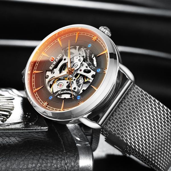 

wristwatches reward business watch men automatic luminous clock tourbillon waterproof mechanical brand relogio masculino, Slivery;brown