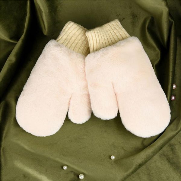 

five fingers gloves women' winter warm lining - cozy warmer plush thick mittens female korean version of solid color girls, Blue;gray