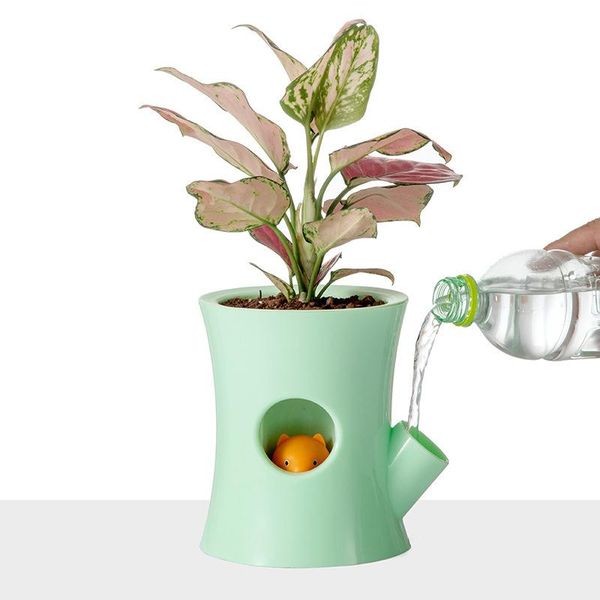 

planters & pots squirrel automatic water-absorbing lazy flower succulent plant containing green stalk hydroponics water-flowerpot