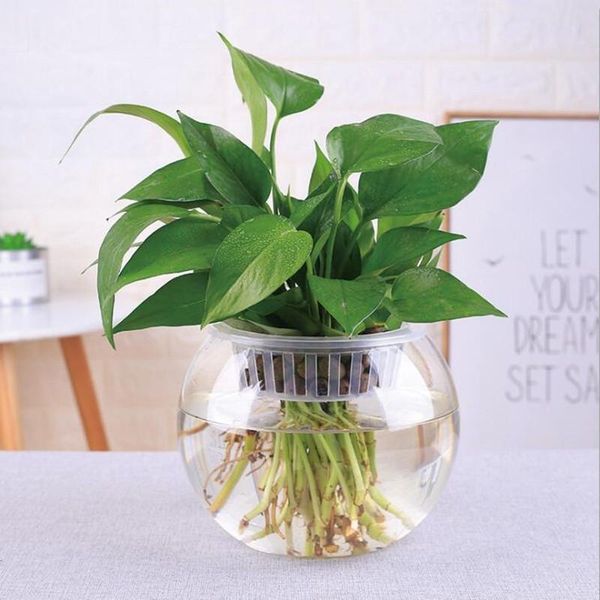 

novelty items diameter=20cm super big size open glass terrarium vase home decoration creative aquarium fishbowl friend gift
