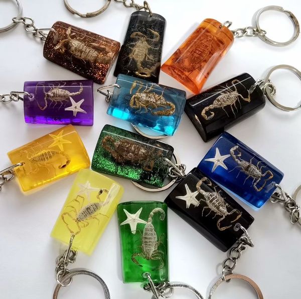 

50 pcs mixed colorful fashion keychain real scorpion jewelry, Slivery;golden