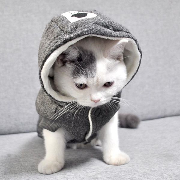 

cat costumes winter cotton pet clothes for small cats warm costume katten kedi coat jacket puppy clothing outfit ubranko dla kota