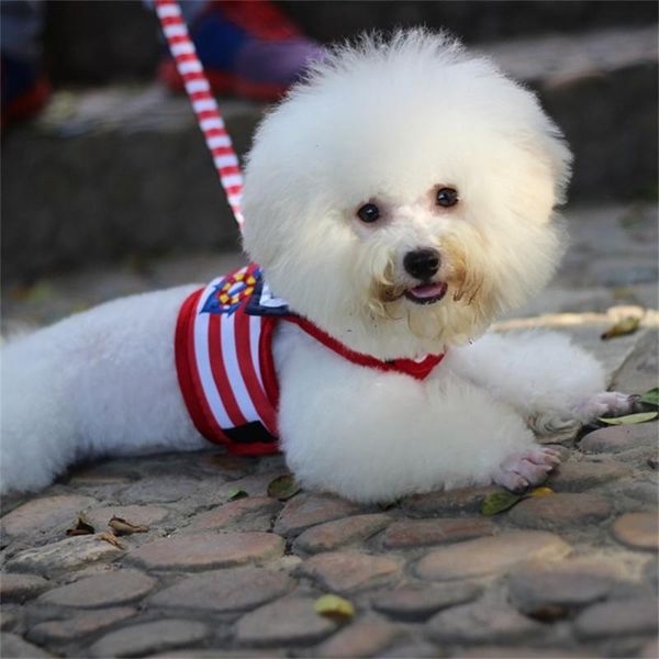 

dog collars & leashes navy camouflage style harnesses