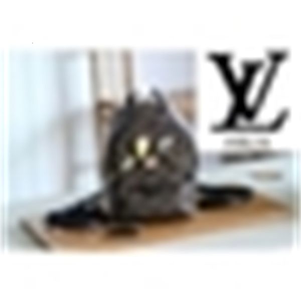 

m41562 canvas badge mini back package men fashion backpacks business tote messenger bags softsided luggage rolling bag