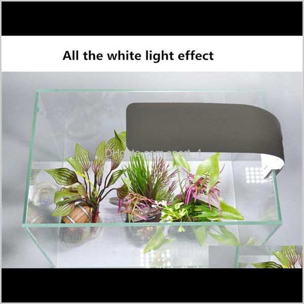 

super slim 10w led waterproof aquarium light for fish tank aquatic plants grow lighting clip-on lamp eu plug c qyliak item_home
