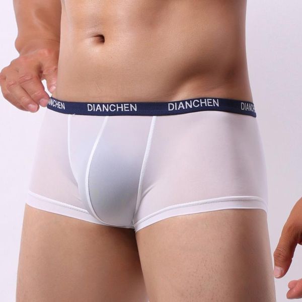 

underpants ice silk men's boxer shorts man sheer underwear cool super breathable panties men convex pouch boxershorts a50, Black;white
