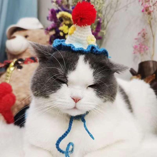 

woolen crochet cat decoration hat funny dog accessories creative dog hat sweet pet costume headdress for small and medium dogs