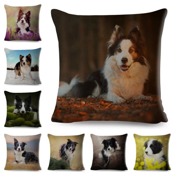 

cushion/decorative pillow scotland border collie cushion cover for sofa home car 45*45cm animal dog printed pillowcase decor cute pet linen