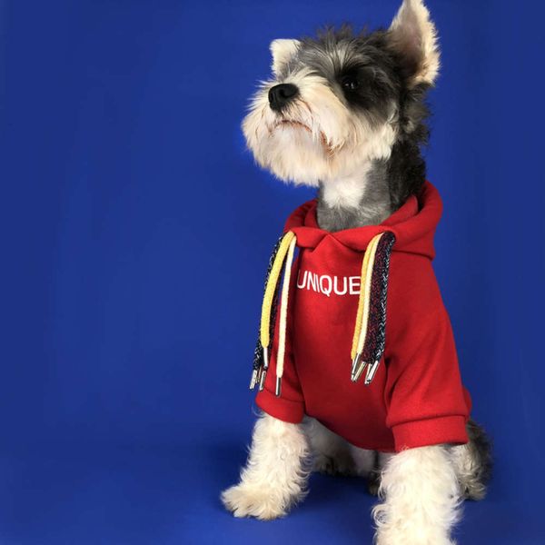 

autumn and winter clothing small dog fashion brand teddy sherry bome bago pigtail plush pet sweater