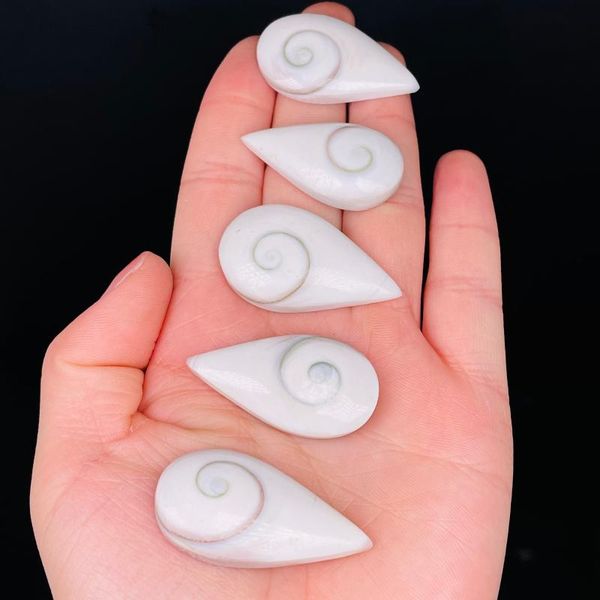 

decorative objects & figurines 5pcs natural sun shell fossil specimen crystal love water drop reiki shiva eye