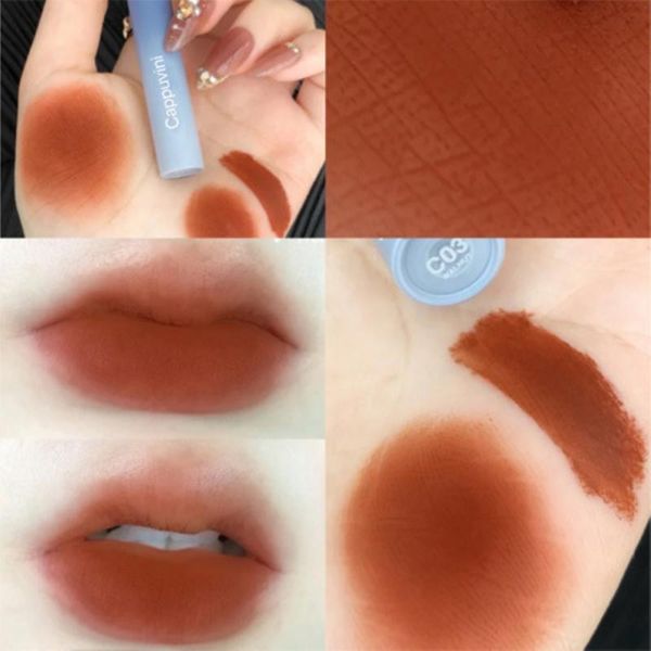 

lip gloss 6 colors glaze chestnut velvet matte daily mud air mist smooth waterproof long lasting liquid cosmetics tslm1