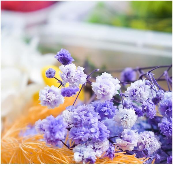 

10 box real dried flower dry plants for aromatherapy candle epoxy resin pendant necklace jewelry making craft diy acc jllwpy