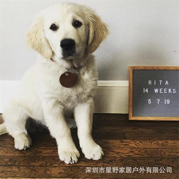 

pu skin brand cat dog lettering plate pet identity tag