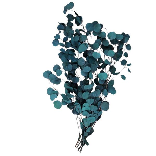 

decorative flowers & wreaths dried natural eucalyptus branches leaves flower bouquet decoration (blue)
