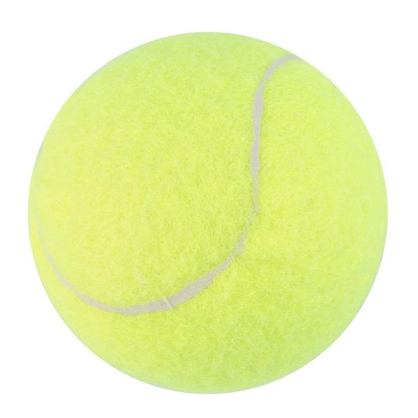 

yellow tennis balls sports tournament outdoor fun cricket beach dog ing