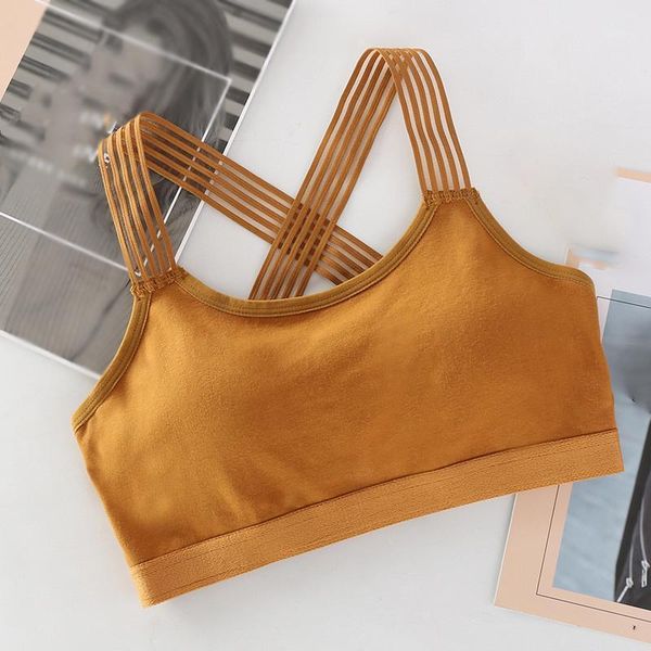

gathered beauty back cross bra fashion solid cotton tube girls women criss-cross underwear wrapped chest 2021 bustiers & corsets, Black;white