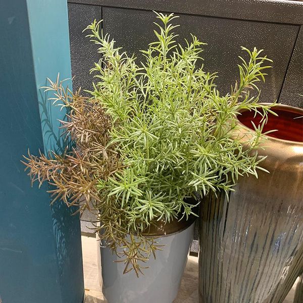 

decorative flowers & wreaths 1pc artificial plastic 7 branches grass plant fake flower wedding arrangement christmas home decoration