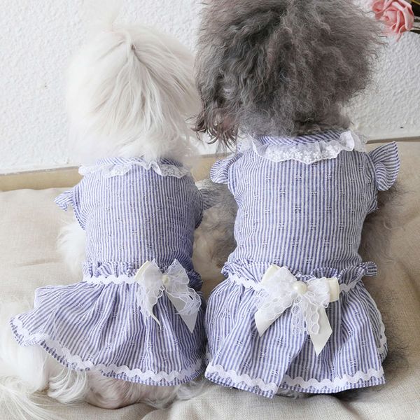 

ysgj 20 spring / summer new vertical stripe ruffle drs dog drs cat drs